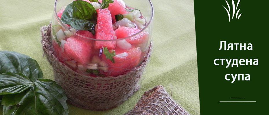 summer soup