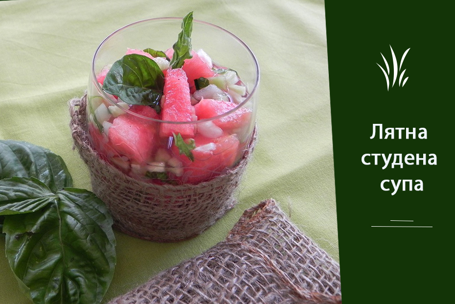 summer soup
