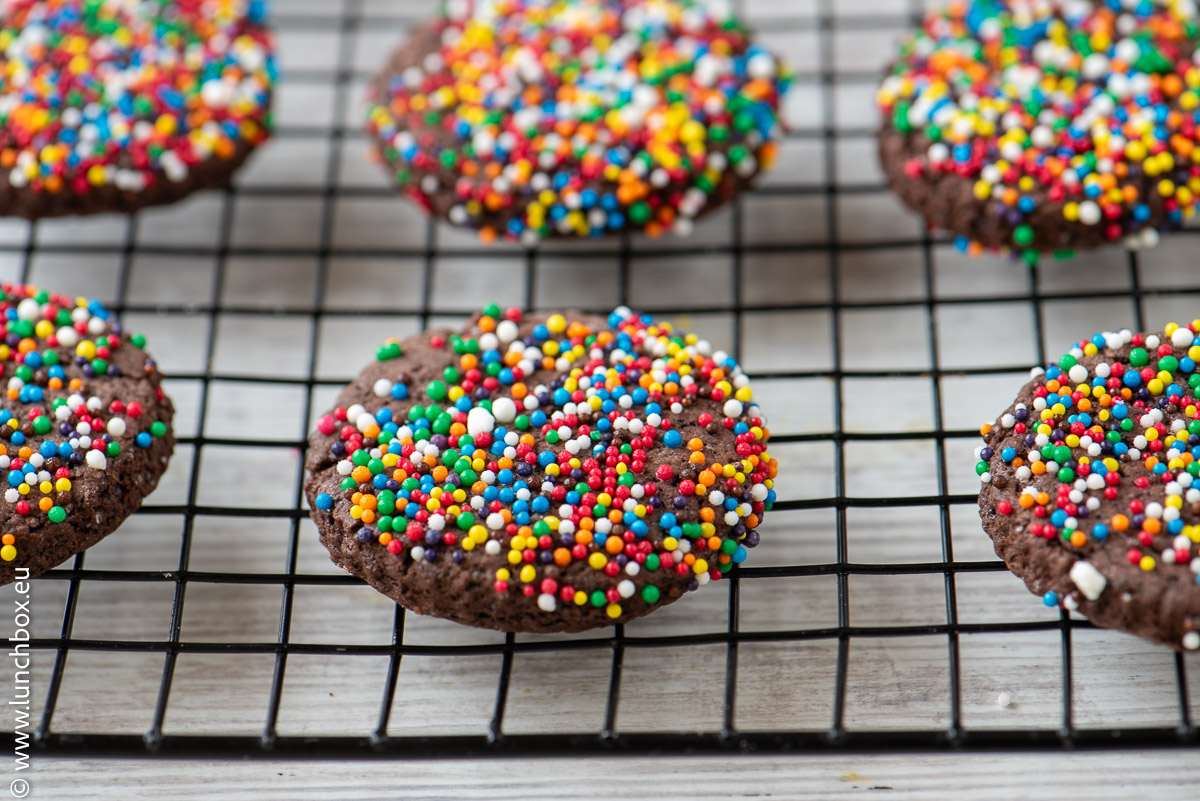 chocolate biscuits chocolate biscuits