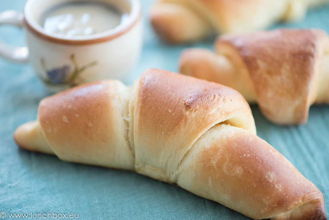 brioch rolls