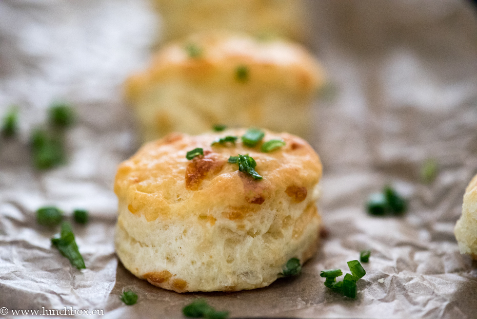 snack time-savory biscuits