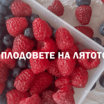 summer-fruits