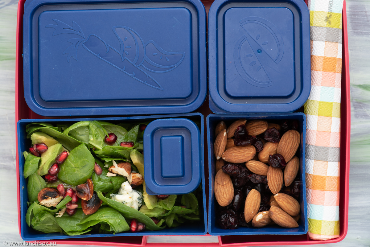 Lunchbox Lunchbox
