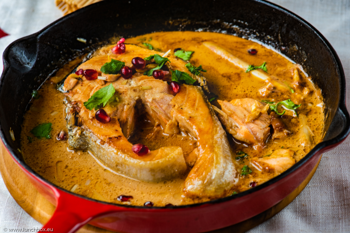 Salmon in coconut lime sauce