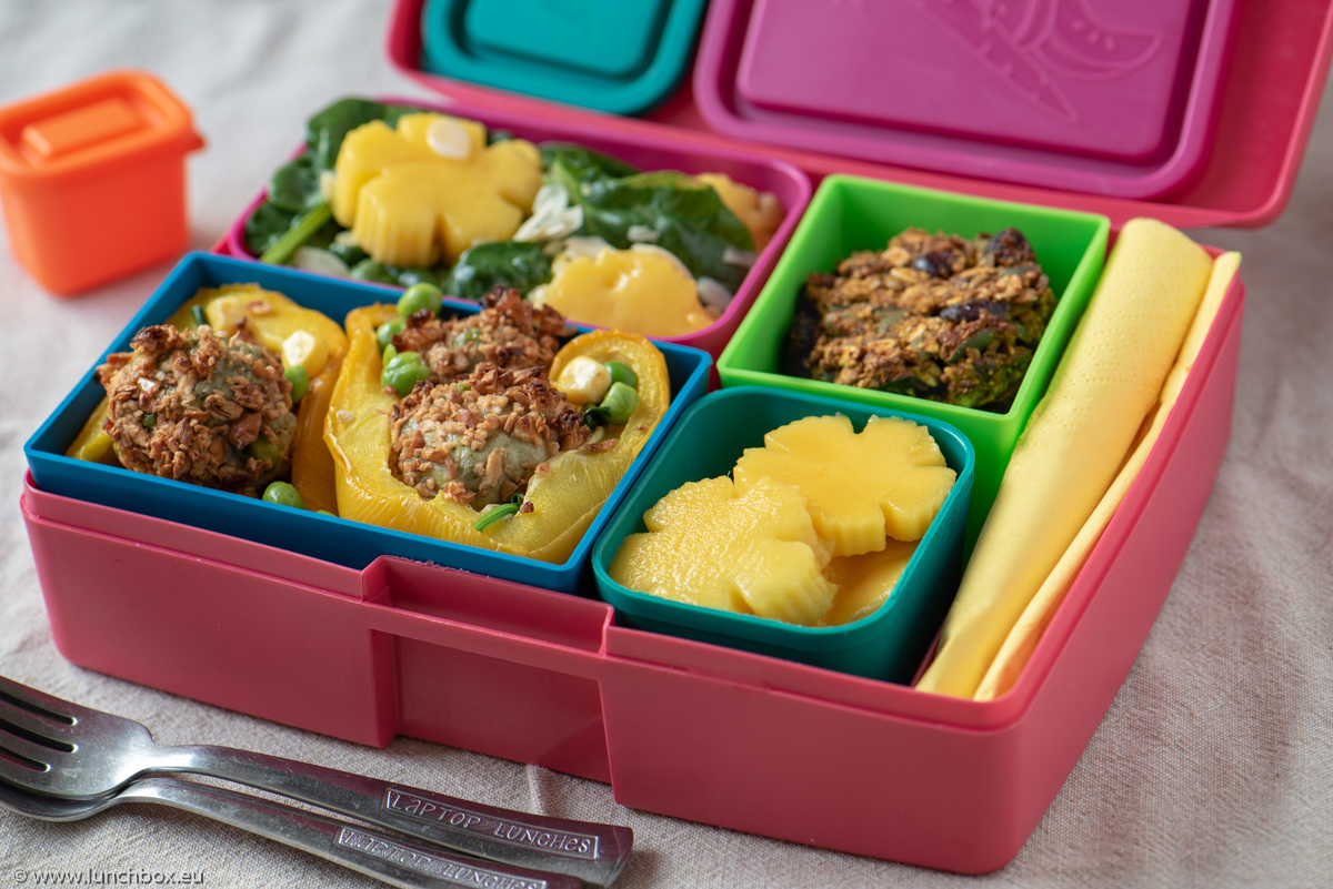 Lunchbox Spring Lunchbox Spring