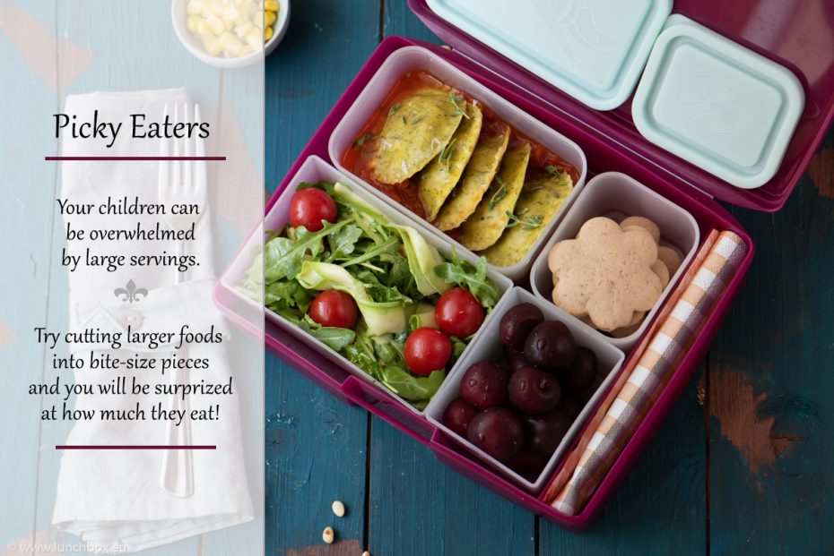 Lunchbox Picky Eaters