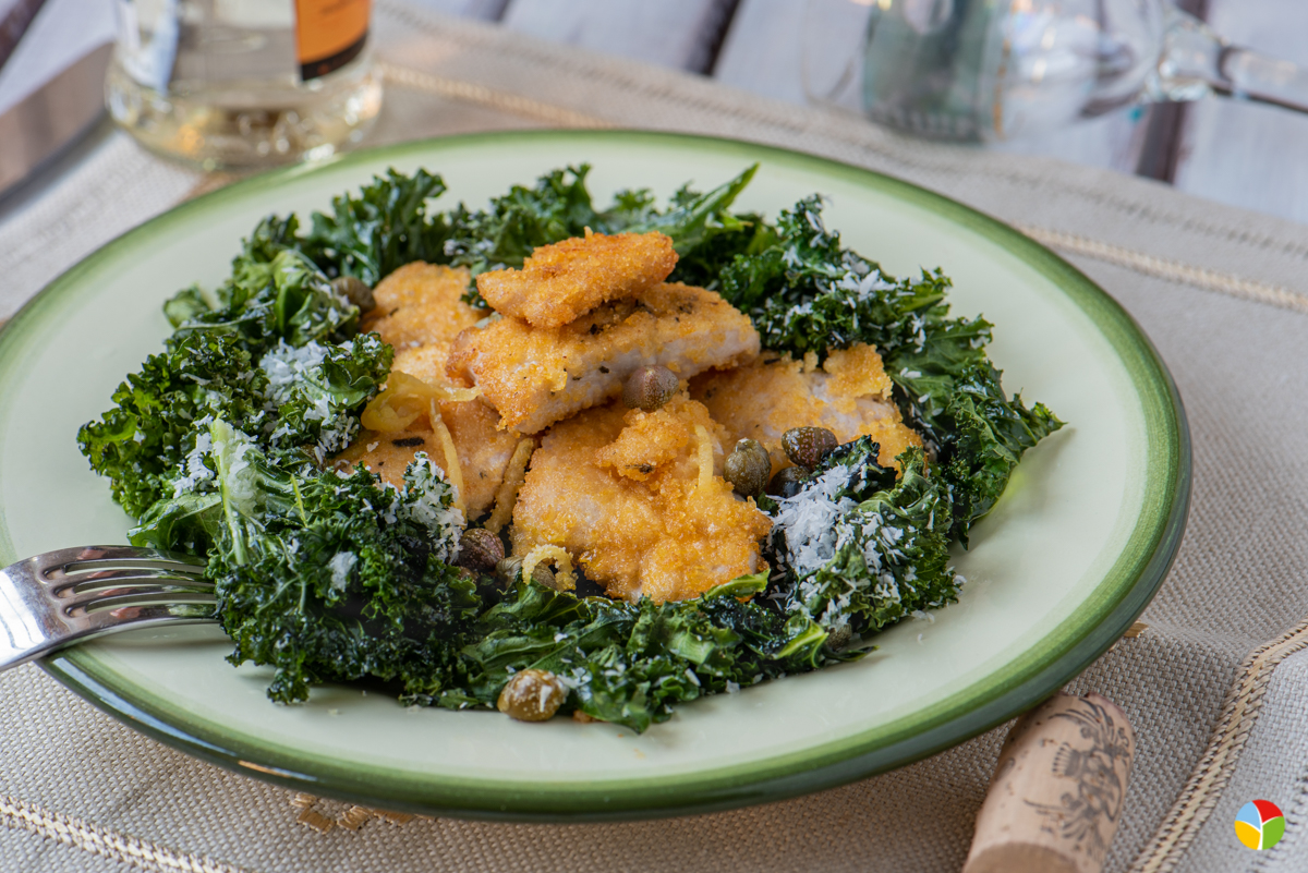 Turkey-Escallopes