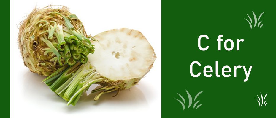 C for Celery