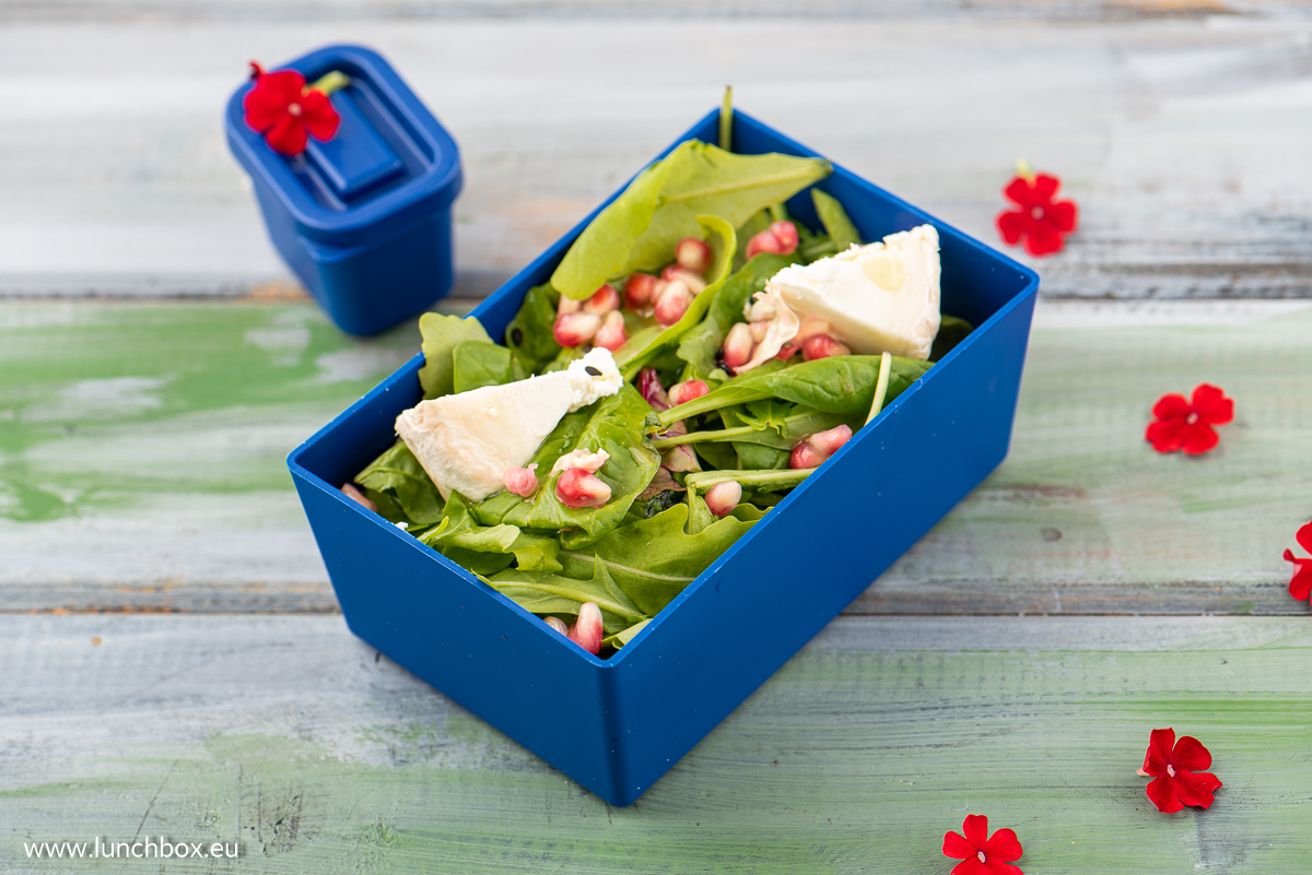 Lunchbox Container L