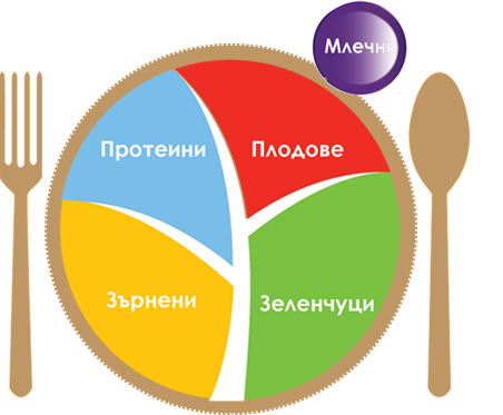 2_Plate | Lunchbox
