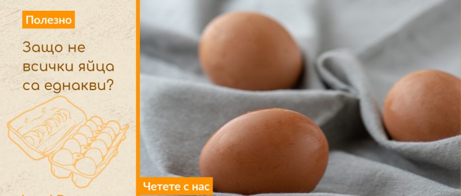 Eggs - how to choose