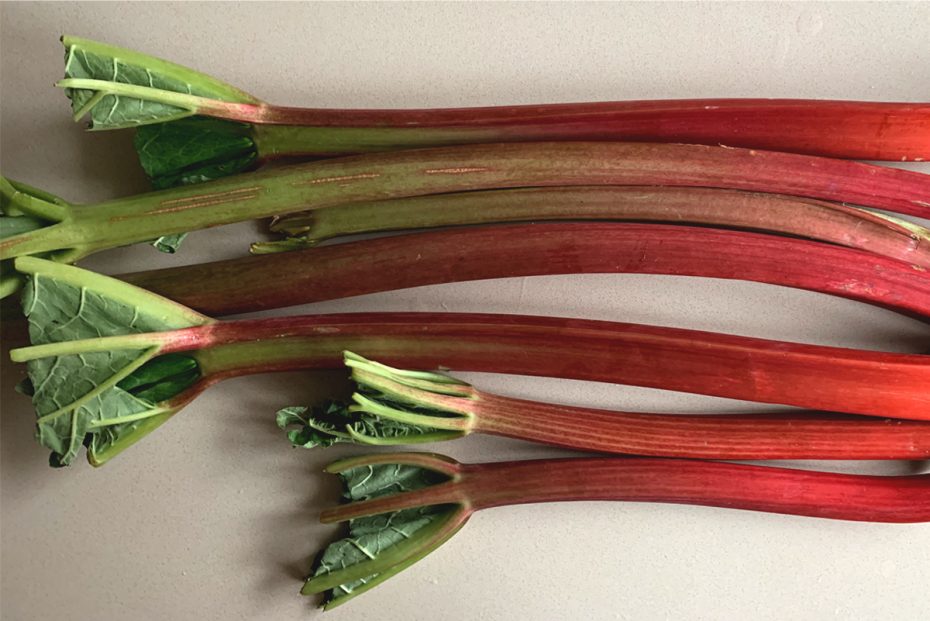 Rhubarb