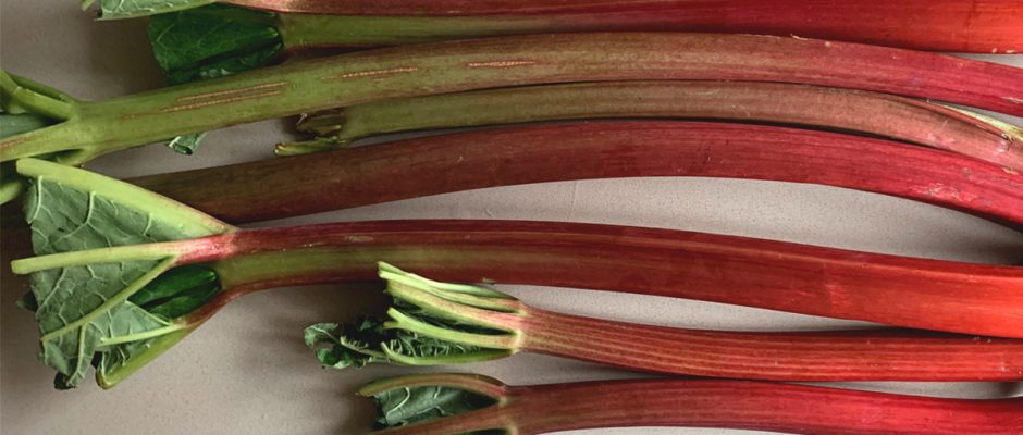 Rhubarb