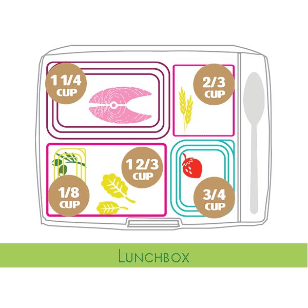 MyPLate-Lunchbox MyPLate-Lunchbox