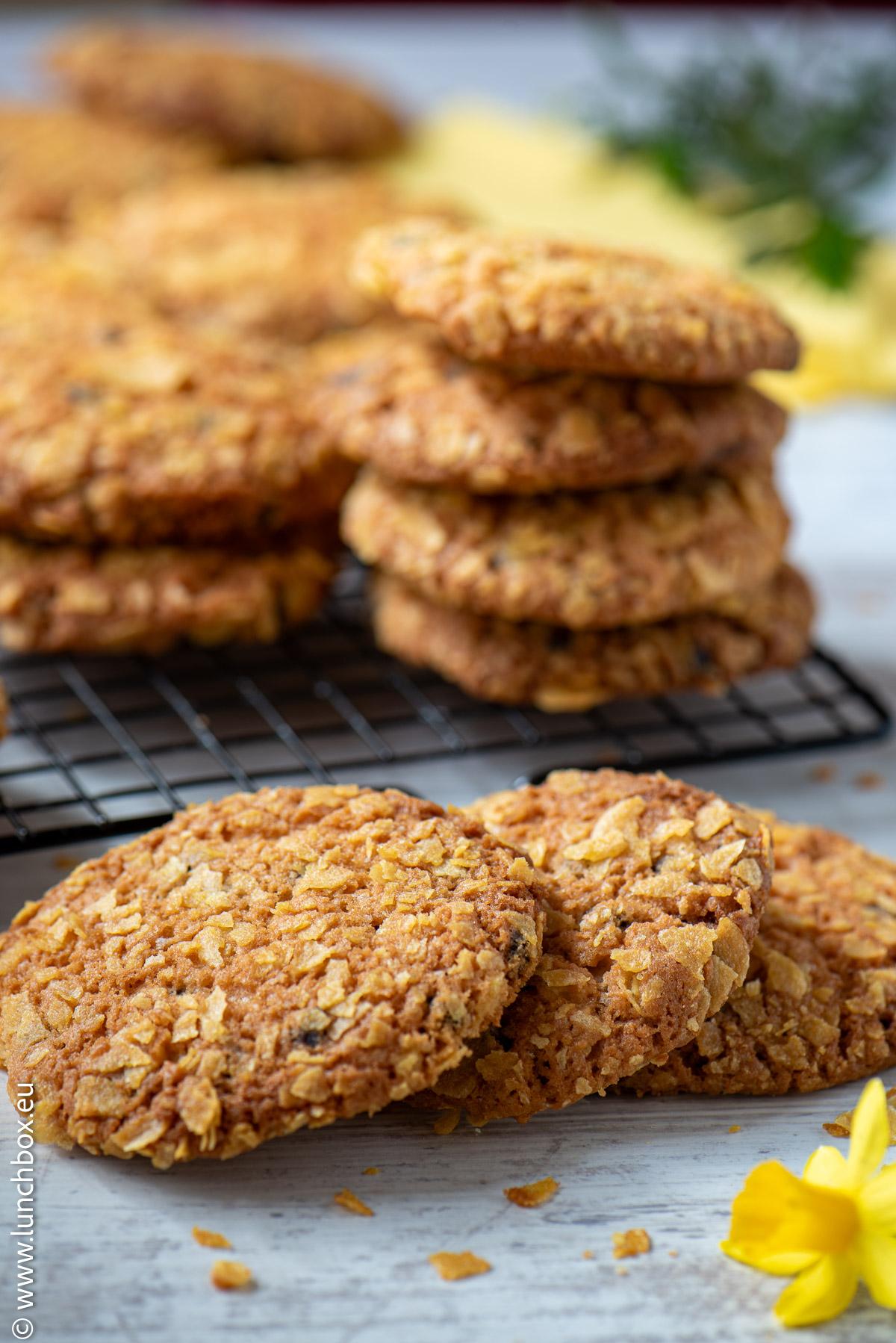 Cornflake chocolate cookies