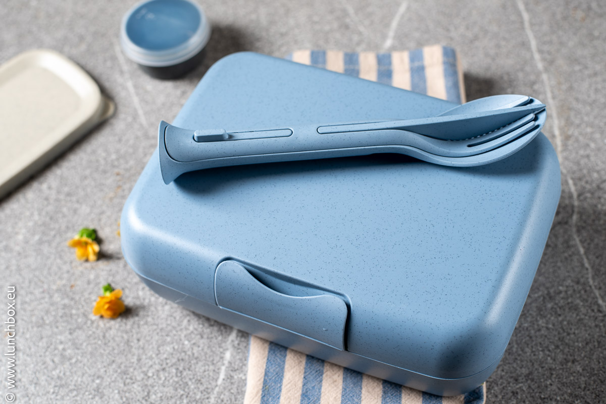 Lunchbox-Lunchbox-Candy-ready-blueCandy-ready-blue Lunchbox-Candy-ready-blue