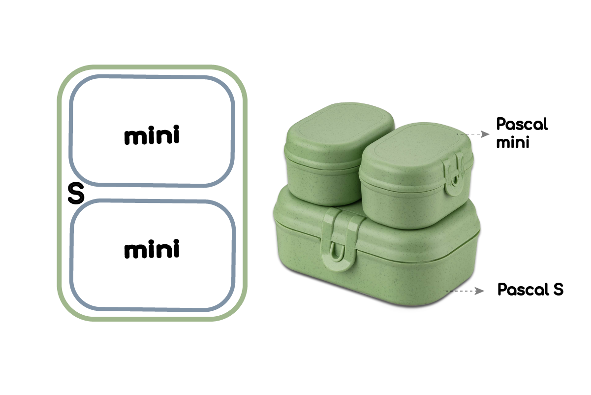 Artboard 14 Lunchbox Pascal Ready Mini