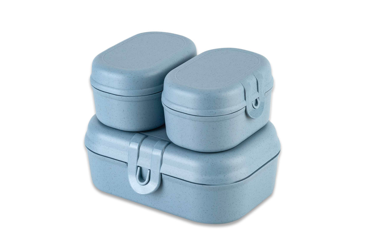 Pascal Ready Mini-blue
