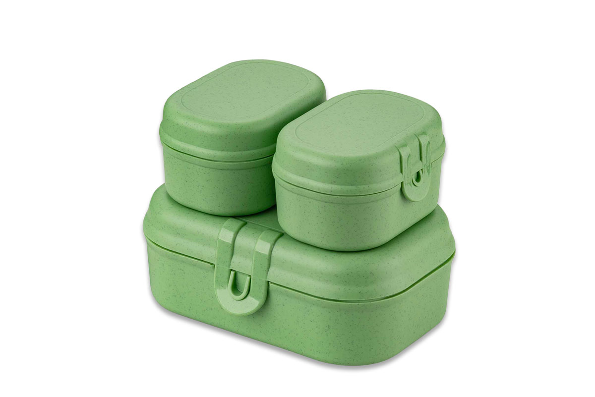 green-1200x801 Pascal Ready Green