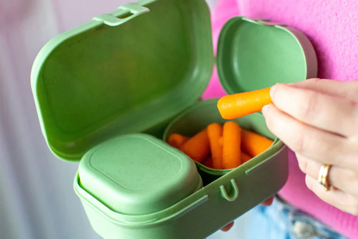 lunchbox-set-pascal-ready-mini-nature-leaf-green-Atmo-1