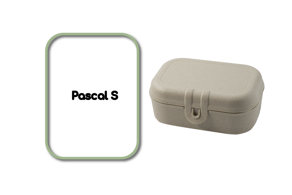 pascal-s-white pascal-s-white