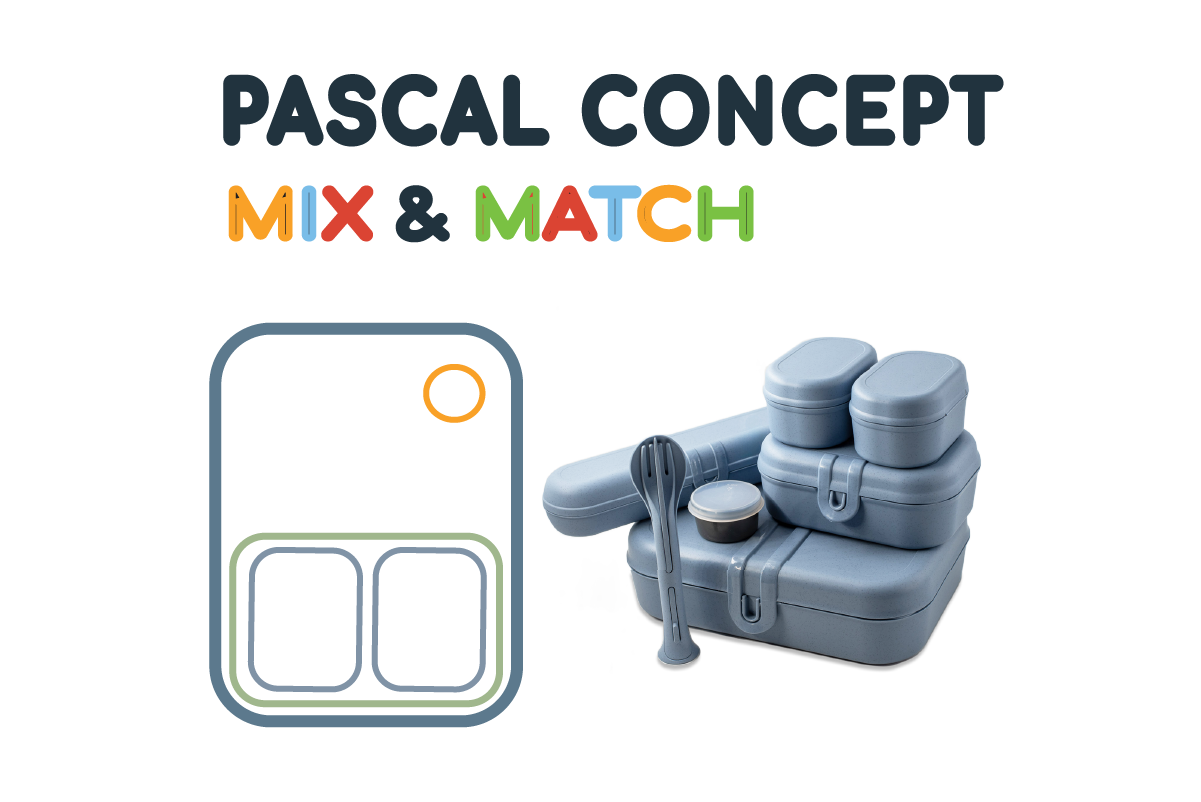 Artboard 3 copy Lunchbox Pascal Balance-blue