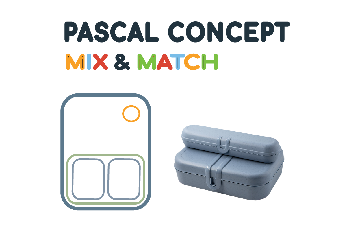 Artboard 3 copy 6 Lunchbox Pascal Balance-blue