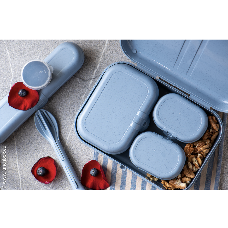 Artboard 5 copy 3 Lunchbox Pascal Balance