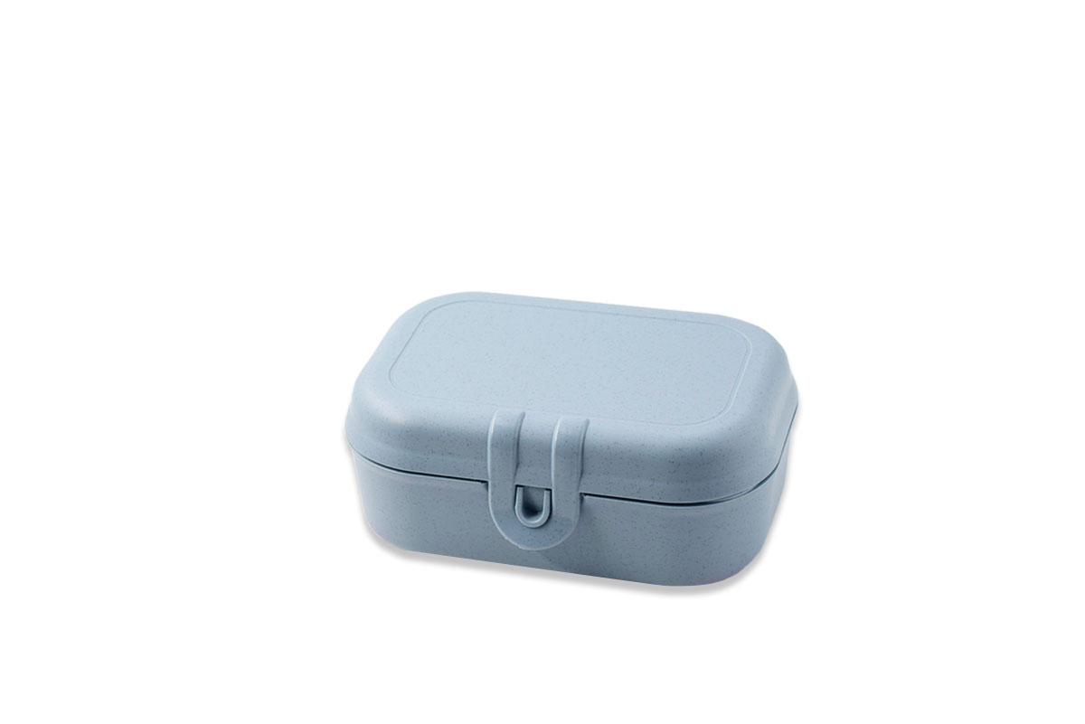 Pascal-S-blue-1 Pascal-S-blue-1