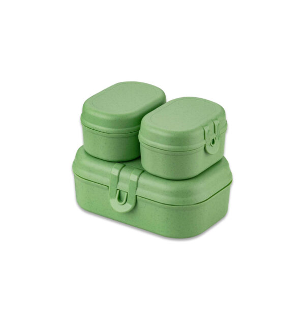 Pascal Ready Mini Green