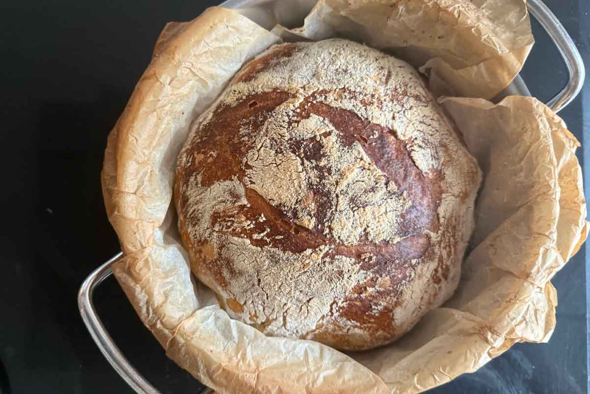 sourdough-12 sourdough-12