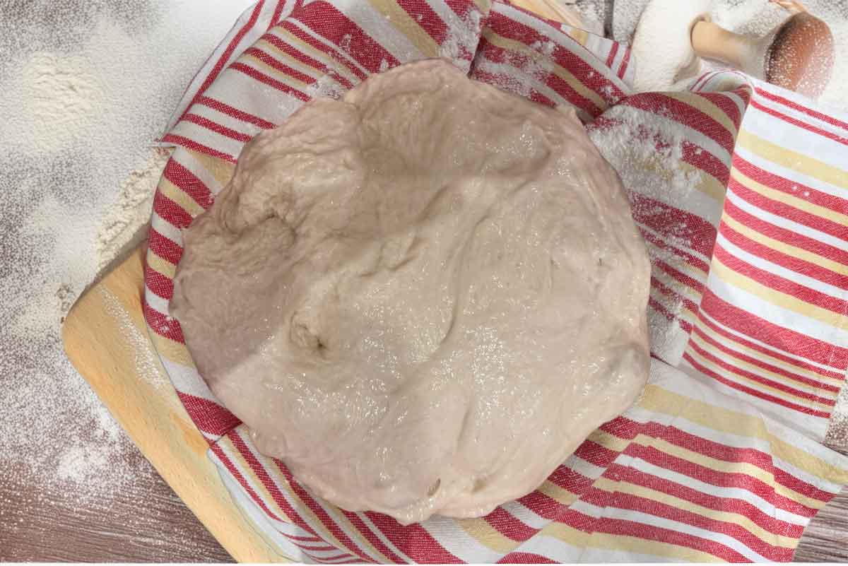 sourdough 3 sourdough 3