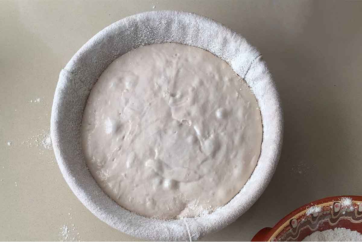 sourdough 5 sourdough 5