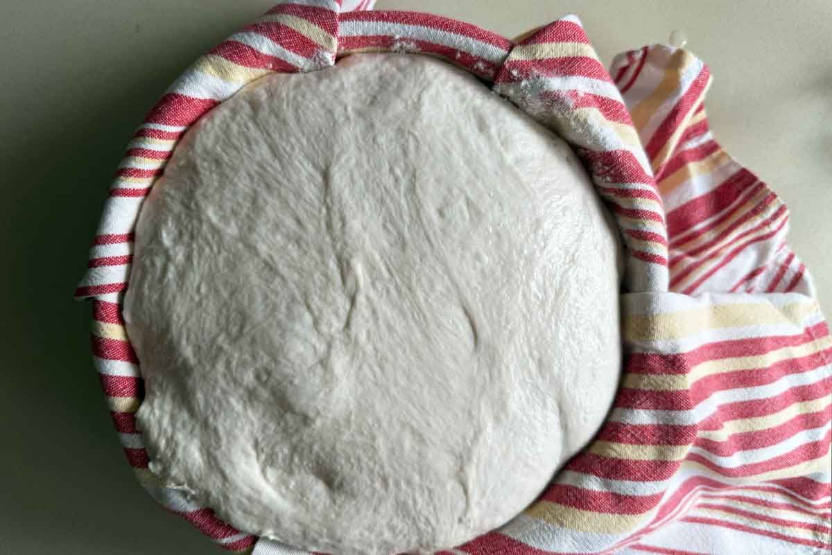 sourdough 6 sourdough 6