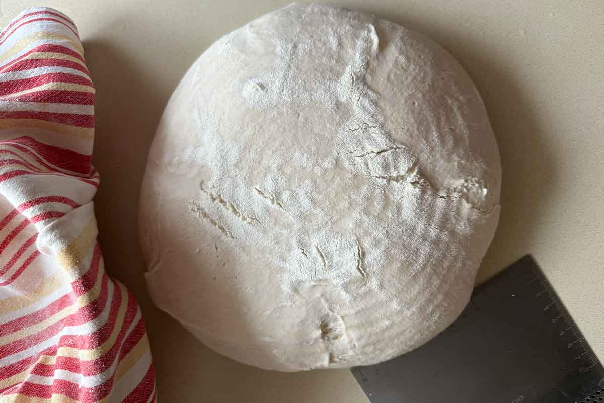 sourdough-8 sourdough-8