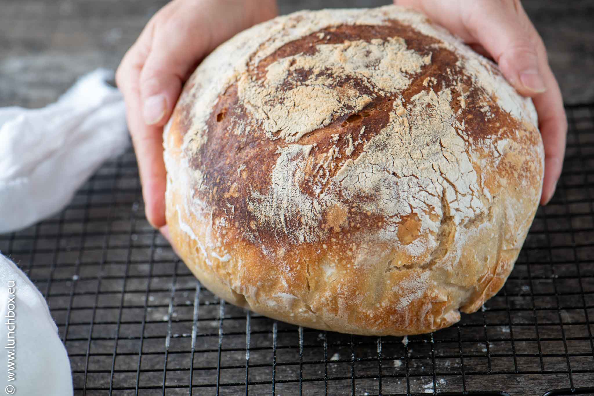 sourdough bread-3 sourdough bread-3